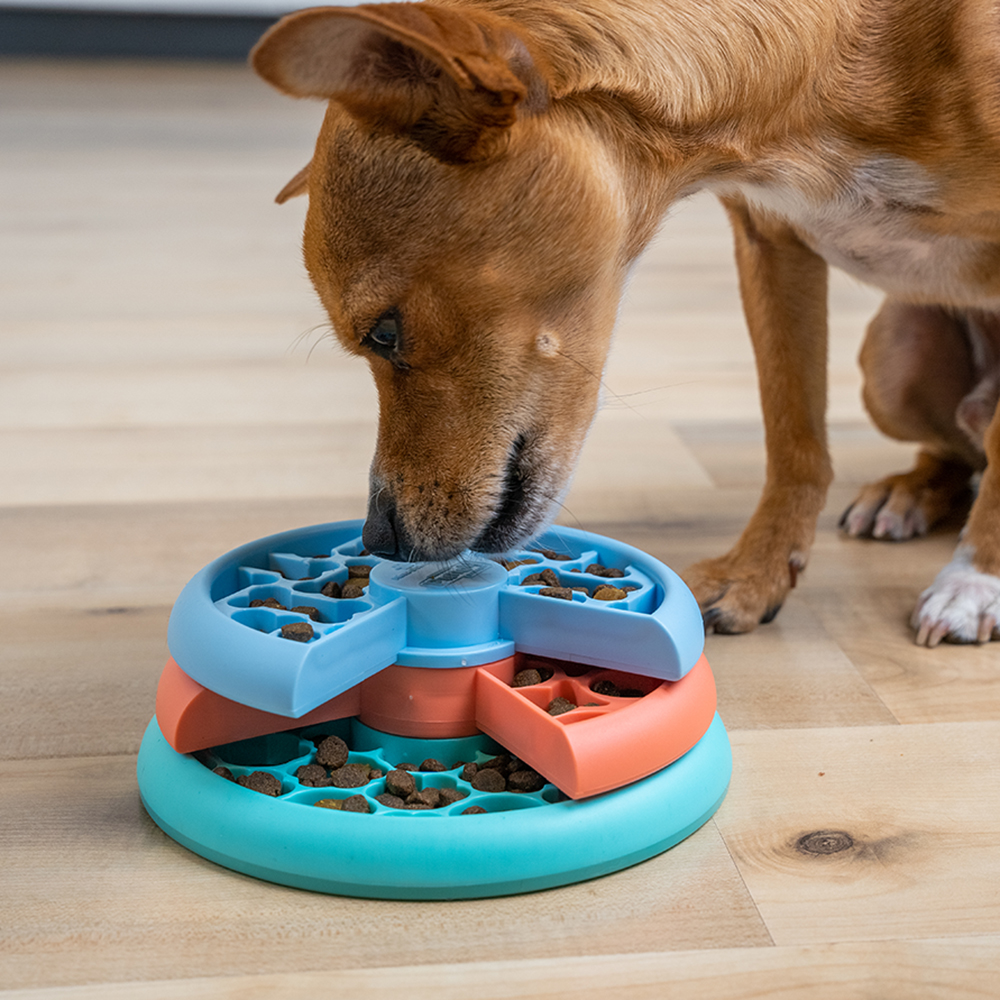 Puzzle toy